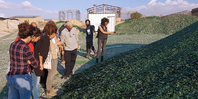 מפעל "פניציה", ירוחם